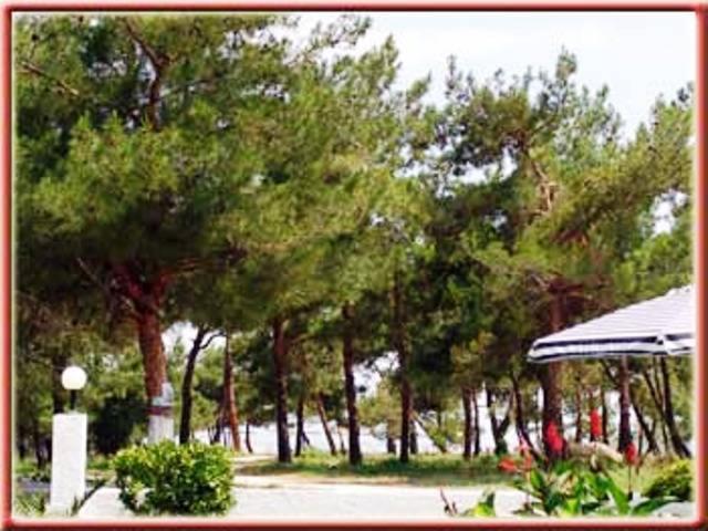 Villa Iris Prinos  Ngoại thất bức ảnh